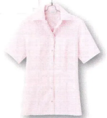 男女ペア 半袖ブラウス アイトス (ハイナック) B2940-38 半袖ブラウス 作業服JP