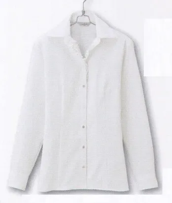 男女ペア 長袖ブラウス アイトス (ハイナック) B2941-01 長袖ブラウス 作業服JP