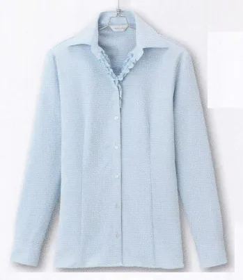 男女ペア 長袖ブラウス アイトス (ハイナック) B2941-20 長袖ブラウス 作業服JP