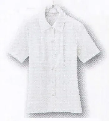 男女ペア 半袖ブラウス アイトス (ハイナック) B2950-01 半袖ブラウス 作業服JP