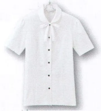 男女ペア 半袖ブラウス アイトス (ハイナック) B2960-01 半袖ブラウス 作業服JP