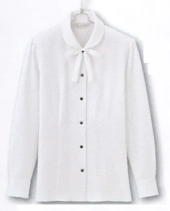 男女ペア 長袖ブラウス アイトス (ハイナック) B2961-01 長袖ブラウス 作業服JP