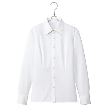 男女ペア 長袖ブラウス アイトス (ハイナック) HCB2711-101 長袖ブラウス 作業服JP