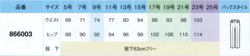 アイトス (ハイナック) 866003 レディースパンツ レディースオフィスウェア●ストレッチ素材で動きやすい●ワルツ糸を使用したふくらみのある高級な質感●ストライプはキュプラを使用※この商品は股下フリーのため、着用するには丈詰めが必要です。※23号は受注生産になります。※受注生産品につきましては、ご注文後のキャンセル、返品及び他の商品との交換、色・サイズ交換が出来ませんのでご注意ください。※受注生産品のお支払い方法は、先振込（代金引換以外）にて承り、ご入金確認後の手配となります。 サイズ／スペック