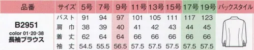 アイトス (ハイナック) B2951-20 長袖ブラウス 洗濯機でササッと洗えて、スカッと乾く。お手入れカンタンの優秀ブラウス！新ノーアイロンブラウス。吸水性は綿の約7倍以上！だから、汗をかいても着心地サラッ、お洗濯時の乾きもスピーディーです。シンプルエレガントな着こなしにおすすめ。衿元をリボンやスカーフとコーデしやすいようにデザインしています。セラミックを練り込んだ特殊ポリマーの働きで、気になる透けを防止。UVカット効果も発揮。適度なストレッチ感があるので、動きやすく疲れにくい。合わせのすき間からデリケートボタンを付けました。※21号・23号は受注生産になります。※受注生産品につきましては、ご注文後のキャンセル、返品及び他の商品との交換、色・サイズ交換が出来ませんのでご注意くださいませ。※受注生産品のお支払い方法は、先振込み（代金引換以外）にて承り、ご入金確認後の手配となります。 サイズ／スペック