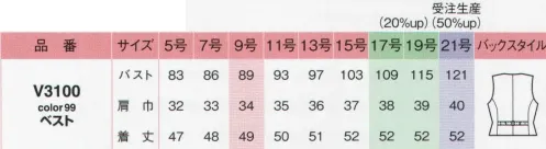 アイトス (ハイナック) V3100-99-C ベスト　21号(特注) 飽きのこない定番デザイン。※21号は受注生産になります。※受注生産品につきましては、ご注文後のキャンセル、返品及び他の商品との交換、色・サイズ交換が出来ませんのでご注意くださいませ。※受注生産品のお支払い方法は、先振込み（代金引換以外）にて承り、ご入金確認後の手配となります。 サイズ／スペック