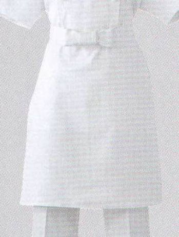 厨房・調理・売店用白衣 エプロン セブン（白洋社） TT8900 調理前掛 食品白衣jp