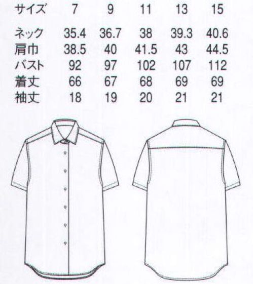 セブン（白洋社） CH4491 半袖シャツ(女性用) 織りでストライプを表現している、シャドーストライプですので、無地の様に扱えるシャツ生地になっています。高機能な生地で、一番の特徴はシルク調でエレガントなところです。デザインはシンプルですので巾広いシーンで着用出来る商品になっています。 ※この商品はご注文後のキャンセル、返品及び交換は出来ませんのでご注意下さい。※なお、この商品のお支払方法は、先振込（代金引換以外）にて承り、ご入金確認後の手配となります。 サイズ／スペック