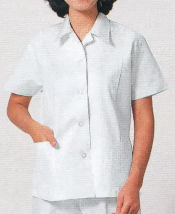 レディースワーキング 半袖シャツ 日の丸（ソルディ） 2300 上衣（半袖上着） 作業服JP
