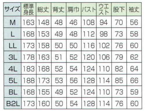 日の丸 2-043 続服（390-03） ホワイトアロー サイズ／スペック