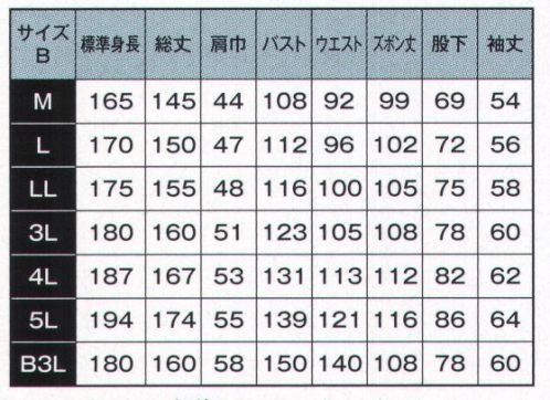 日の丸 660 続服  サイズ／スペック