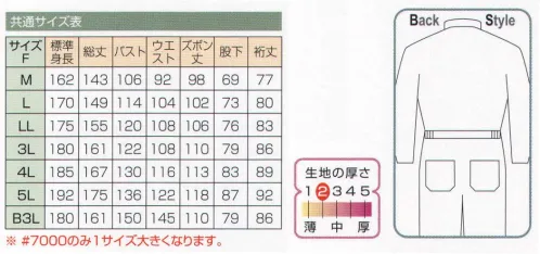 日の丸 7000 サマー続服 衿は、スタンド・オープン・ハイネックの3タイプが楽しめます。 サイズ／スペック