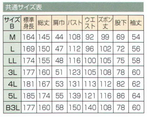 日の丸 900 続服 ヒノマルカット:後腰部に伸縮布を縫い込むことにより、前後斜屈伸等の動きを楽にしました。 サイズ／スペック