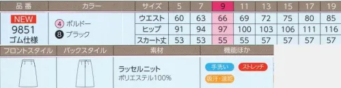 ハネクトーン 9851 スカート はき心地のラクな美スタイルAラインスカート●ウエストゴム仕様座ったり屈んだりした時の、お腹周りの圧迫感を軽減（約4ｃｍのストレッチ性）●後ろファスナー開き着脱しやすい後ろファスナー開き。ラッセルニット上質の風合いと美しいシルエットがワンランク上のおもてなしを約束高級感のあるニット素材で、美しいシルエットが完成する、プレミアムなおもてなしシリーズ。しなやかなストレッチ性が快適な着心地を約束します。・ブライト糸によるほどよい光沢感が上品な印象。・タテにもヨコにも伸びて動きやすいストレッチ素材。・しっかり感があって型崩れしにくい。・通気性が高いのでムレにくく快適。・リッチな風合い。 サイズ／スペック