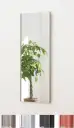 Ｊ.フロント建装・踊り用小物・リフェクスミラー・吊式姿見（幅45×高さ120cm）