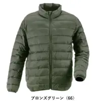 66 ブロンズグリーン