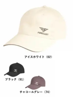 フォーキャストキャップⅡ