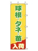 上西産業 J-20 のぼり（球根・タネ・苗入荷）