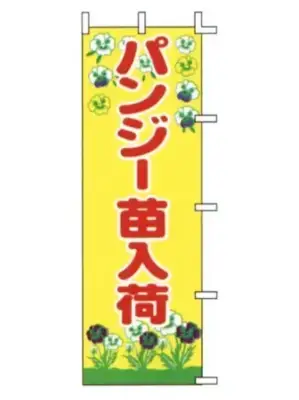 のぼり（パンジー苗入荷）