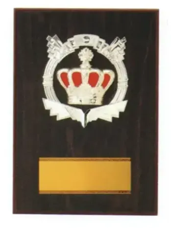 記念品 楯 上西産業 D057 楯 祭り用品jp