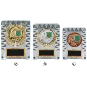 記念品 楯 上西産業 KV-5452 楯 祭り用品jp