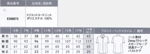 カーシー ESB873-B シャツブラウス（半袖）　19号(特注) ニットの着やすさはそのままにすっきりと仕立て映え。TRICOT CORD KNIT（トリコット コード ニット）ポリエステル100％布帛よりもストレッチ性が高く、ニットよりも仕立て映え。表面のほのかな畝（うね）感がすっきりとした印象を与えるトリコットニット。軽量でストレッチ性に優れ、通気性が良くムレにくいのが特徴。また、フルダル糸を使用しているので透けにくく、SR防汚加工を施し、汚れを落ちやすくしています。シワになりにくく、型くずれしにくい快適素材です。※19号は受注生産になります。※受注生産品につきましては、ご注文後のキャンセル、返品及び他の商品との交換、色・サイズ交換が出来ませんのでご注意ください。※受注生産品のお支払い方法は、先振込（代金引換以外）にて承り、ご入金確認後の手配となります。 サイズ／スペック