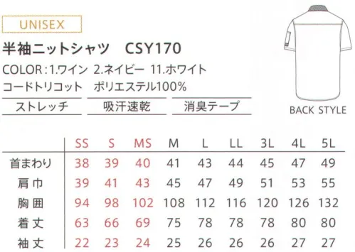 カーシー（キャリーン） CSY170 半袖ニットシャツ シワになりにくいトリコット素材を用いたシャンブレー調のミニストライプ柄シャツは長袖と半袖をラインアップ。配色が際立つデザイン性、ストレッチで動きやすく吸汗速乾によるストレスフリーも機能性を両立しました。●胸ポケット両胸に各種ツールを収納できる大きめのダブルポケットをデザインしています。●ペンさしポケット袖にはペンさしポケットを標準装備。いつでもスムーズにペンを取り出せます。●汚れの目立ちにくい衿裏首元の汚れが目立ちにくいよう、衿裏に濃色のファブリックを配しています。●消臭テープ脇下のシームは内側に消臭テープを縫い付け、快適な使用感を実現しています。 サイズ／スペック