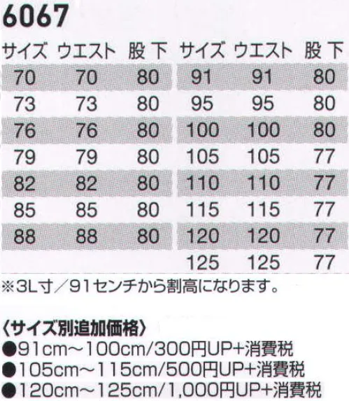 バートル 6067-125 ツータックパンツ ハードワーク御用達のT/Cライトチノで、着心地も耐久性も抜群の日本製。幅広いシーンで着れるベーシックなデザインにまとめました。夏対策には通気性にすぐれたボディクーラーを搭載。お求めやすさも魅力の新定番アイテムです。 丈夫で着心地のよいT/Cライトチノ（日本製素材）。通気性バツグンのボディークーラー（メッシュ仕様）。着用シーンを選ばない洗練デザイン。お求めやすいスーパープライス。※「48サックス」は、販売を終了致しました。  サイズ／スペック