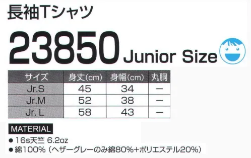 LSTワールド 23850 長袖Tシャツ（JUNIOR SIZE) サイズが豊富な定番のロンT。※大人サイズは、商品番号「23800」になります。※この商品はご注文後のキャンセル、返品及び交換は出来ませんのでご注意下さい。※なお、この商品のお支払方法は、先振込（代金引換以外）にて承り、ご入金確認後の手配となります。 サイズ／スペック