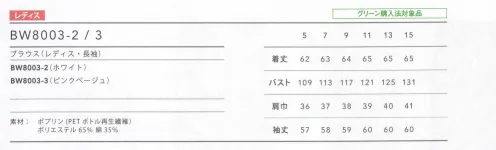 住商モンブラン BW8003-2 ブラウス（ホワイト・長袖） ウイングカラーが特徴的なブラウスは前にも後ろにもタックを入れて、ふんわりとしたシルエットに。エプロンを着けた時、かわいらしく見えるデザイン。袖山のタックが、シンプルなフォルムのアクセント。 サイズ／スペック