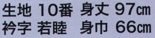 東京いろは HO-13 大人半天（反応捺染半天）（二の字） 祭りの日に欠かさぬ、揃い半天。売り出しや各種の集いにも、広く着用されています。※この商品はご注文後のキャンセル、返品及び交換は出来ませんのでご注意下さい。※なお、この商品のお支払方法は、先振込（代金引換以外）にて承り、ご入金確認後の手配となります。 サイズ／スペック