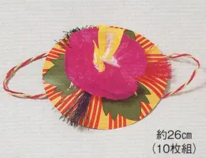 紙花笠（10枚組）