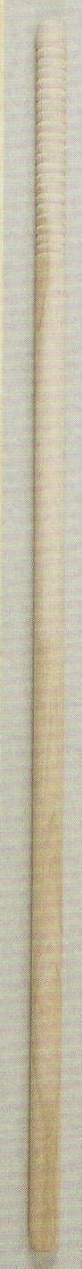 日本の歳時記 3196 杖(木製) 