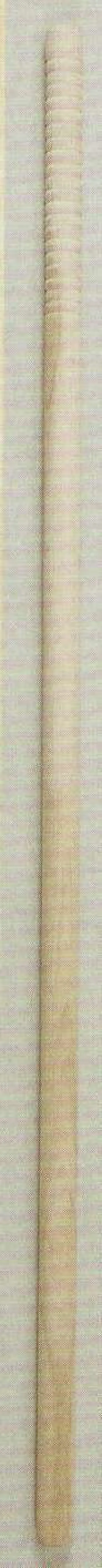 祝着・神職・寺用 巡礼 日本の歳時記 3196 杖(木製) 祭り用品jp