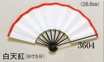 日本の歳時記 3604 舞扇 白天紅（9寸5分） 