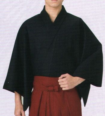日本の歳時記 9907 HAKAMASHITA 袴下着物