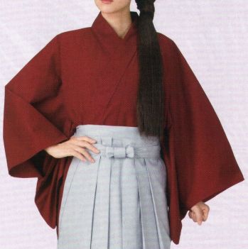 コスチューム 世界の衣装 日本の歳時記 9908 HAKAMASHITA 祭り用品jp
