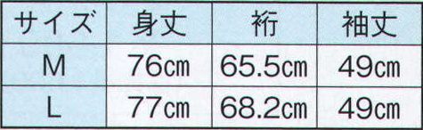 日本の歳時記 2717 男物半襦袢  サイズ表