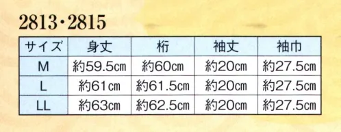 日本の歳時記 2813 半襦袢 半衿手付加工 サイズ／スペック