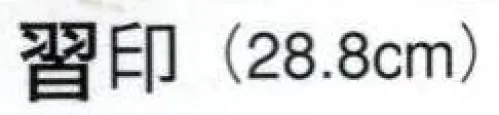 日本の歳時記 3632 舞扇 習印（9寸5分）  サイズ／スペック