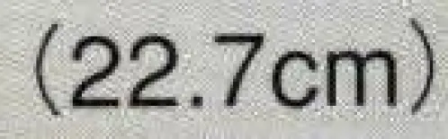 日本の歳時記 3871 飾扇7寸5分セット 扇印 裏柄（朱赤無地） サイズ／スペック