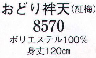日本の歳時記 8570 おどり袢天（紅梅）  サイズ／スペック