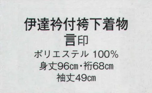 日本の歳時記 8742 伊達衿付袴下着物 言印  サイズ／スペック