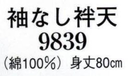 日本の歳時記 9839 袖なし袢天  サイズ／スペック