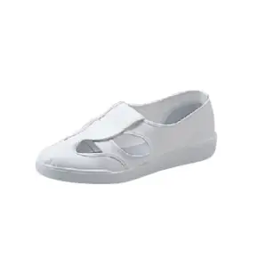 エレクリヤーP1000