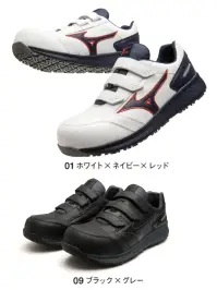 ミズノ F1GA2311 オールマイティ SU 22L