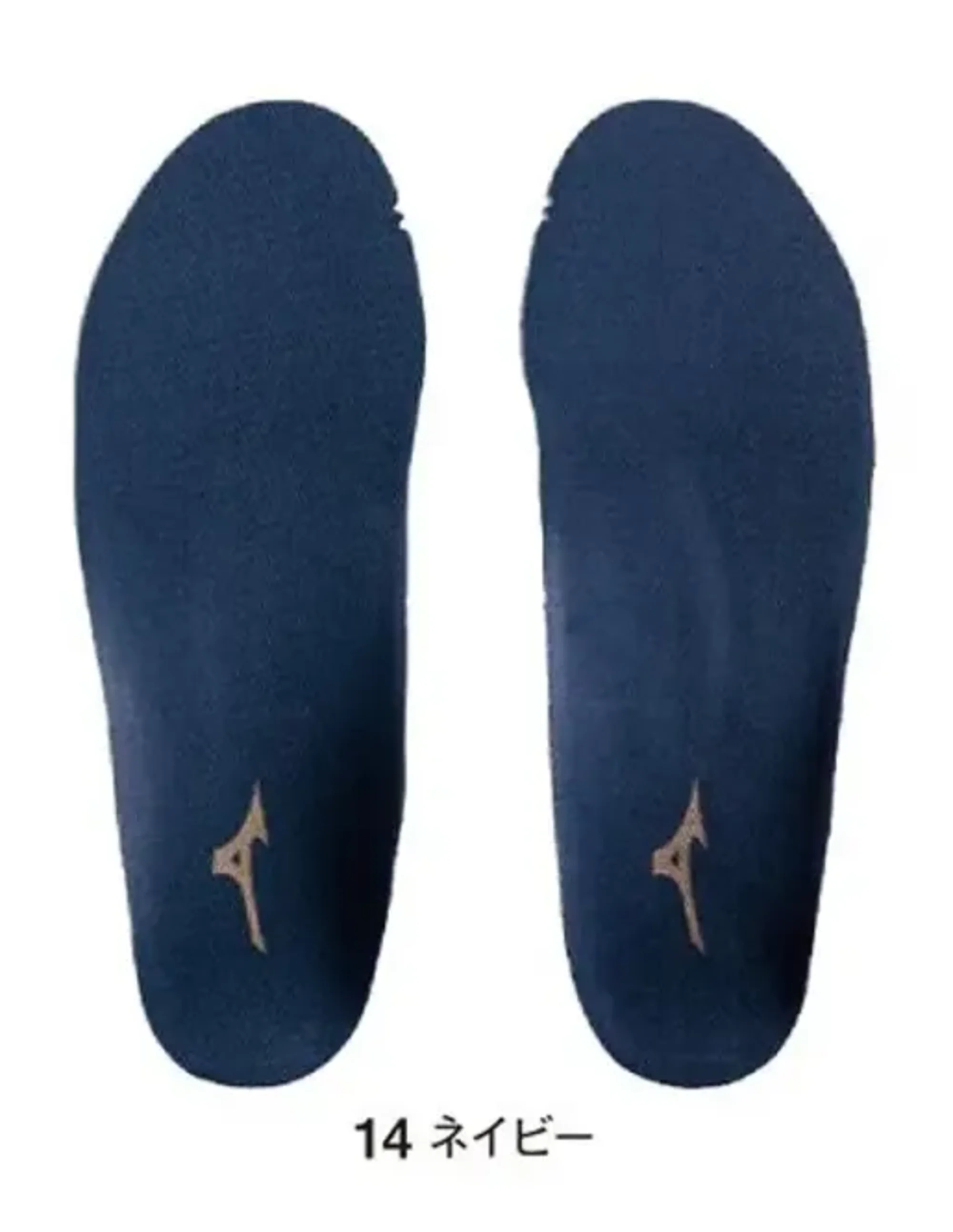 ミズノ F1GU230114 アーチサポートインソール