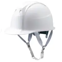 ミズノ F3JPHZ1B0101FL 産業用ヘルメットFT01（通常バイザー・墜落時保護用樹脂ライナー）（受注生産）