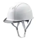 ミズノ F3JPHZ1D0109FL 産業用ヘルメットFT01（スモークバイザー・墜落時保護用樹脂ライナー）（受注生産）