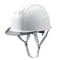 ミズノ F3JPHZ1D0109FL 産業用ヘルメットFT01（スモークバイザー・墜落時保護用樹脂ライナー）（受注生産）